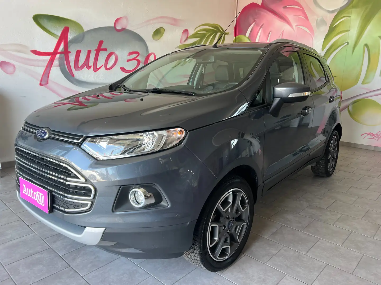 Ford EcoSport EcoSport 2014 1.5 tdci Titanium 95cv E6 Grijs - 1