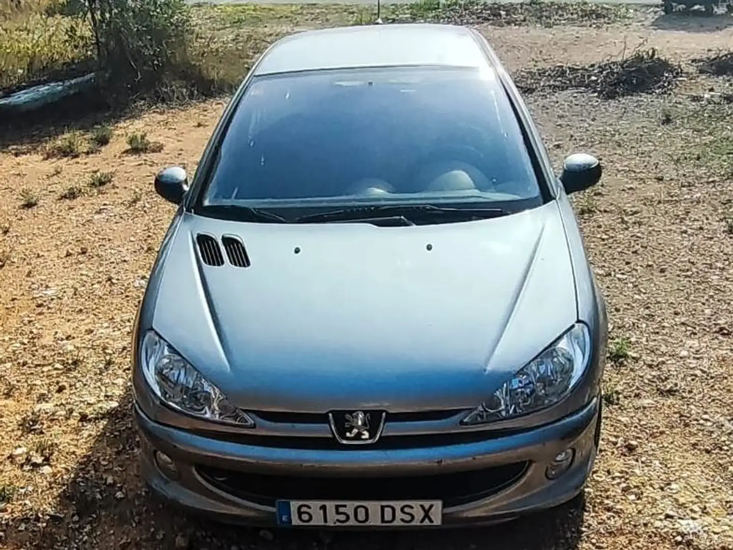 Peugeot 206 206 1.6HDI XT 110 XT - 2