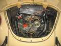 Volkswagen Käfer 1200, original 94000km Beige - thumbnail 8