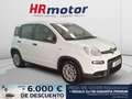 Fiat Panda 1.0 Mild Hybrid 4x2 Blanco - thumbnail 1