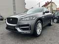 Jaguar F-Pace F-PACE R-SPORT AWD PANO + KAMERA Gris - thumbnail 1