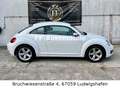 Volkswagen Beetle 1.2 TSI Fender Edition * Steuerkette Neu* White - thumbnail 6