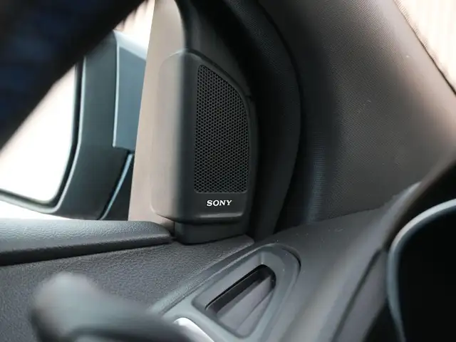 Ford Focus view 17