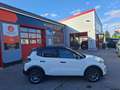 Citroen C3 Turbo 100 MAX inkl. Winterpaket Weiß - thumbnail 8