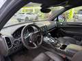 Porsche Cayenne Diesel Platinum Edition Aut. Gris - thumbnail 9