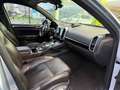 Porsche Cayenne Diesel Platinum Edition Aut. Gris - thumbnail 8