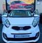 Kia Picanto 1.0 Urban Blanc - thumbnail 1