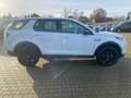 Land Rover Discovery Sport P200 AWD Automatik SE Weiß - thumbnail 6