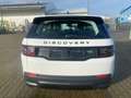 Land Rover Discovery Sport P200 AWD Automatik SE Weiß - thumbnail 7