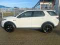 Land Rover Discovery Sport P200 AWD Automatik SE Weiß - thumbnail 9