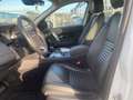 Land Rover Discovery Sport P200 AWD Automatik SE Weiß - thumbnail 11