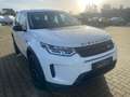 Land Rover Discovery Sport P200 AWD Automatik SE Weiß - thumbnail 4