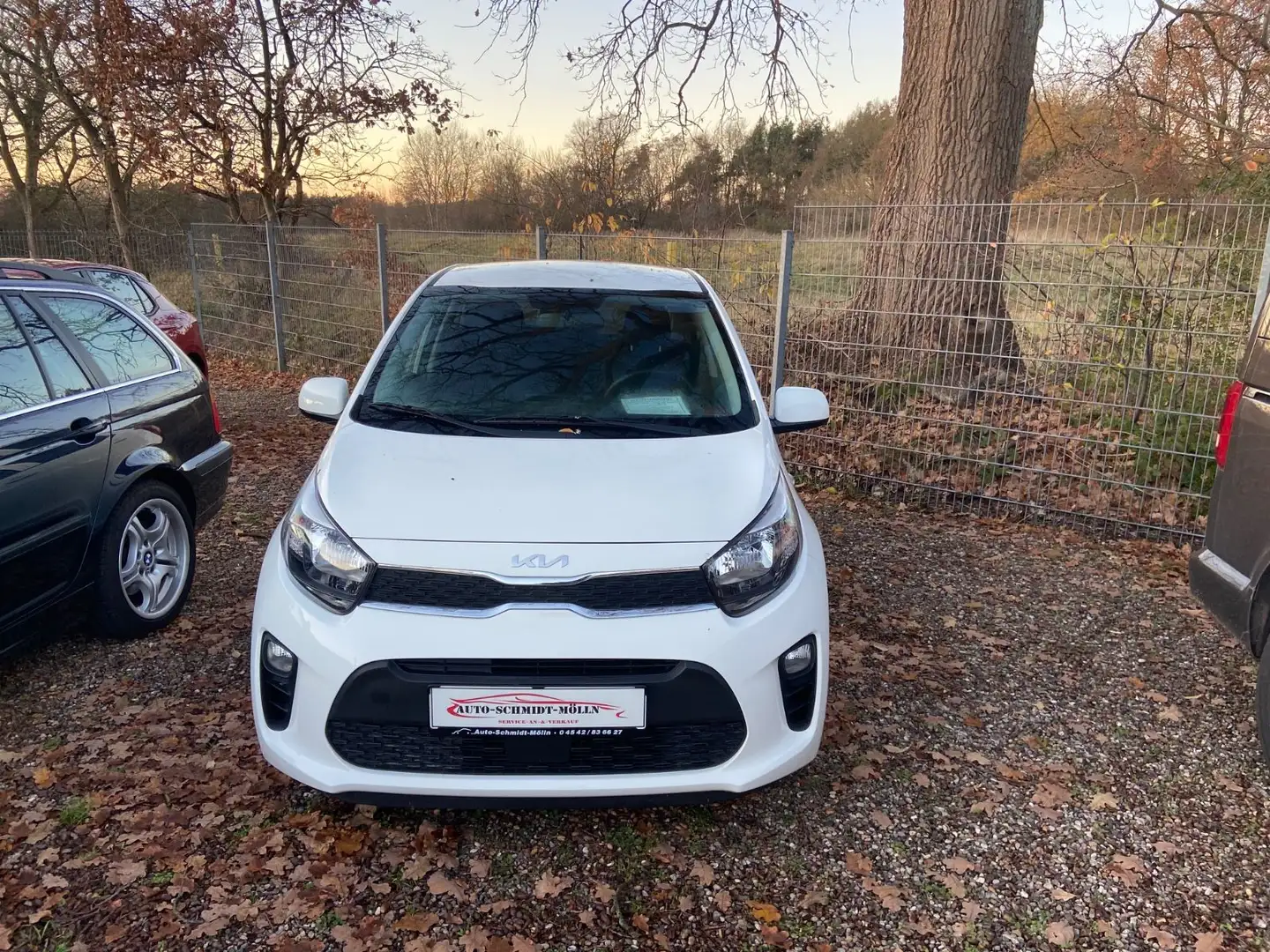 Kia Picanto Dream Team Weiß - 1