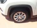 Jeep Compass Compass 1.6 mjt Business 2wd 130cv Bianco - thumbnail 12