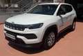 Jeep Compass Compass 1.6 mjt Business 2wd 130cv Bianco - thumbnail 4