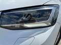 Audi Q2 30 TFSI LED*SHZ*Navi via App*adapt.Tempomat Blanc - thumbnail 30