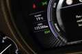 Lexus LS 500 500h Luxury Art Wood Grau - thumbnail 6