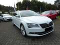 Skoda Superb 2.0 TDI SCR 140kW DSG Style Weiß - thumbnail 3