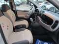 Fiat Panda 1.2 BENZINA LOUNGE 69cv E5 +600.00 GPL NUOVO Beige - thumbnail 10