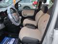 Fiat Panda 1.2 BENZINA LOUNGE 69cv E5 +600.00 GPL NUOVO Beige - thumbnail 9