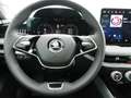 Skoda Superb Selection TDI DSG Gris - thumbnail 20