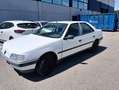 Peugeot 405 Embassy Wit - thumbnail 5