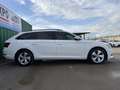 Skoda Superb Combi 2.0TDI AdBlue Ambition 110kW Blanco - thumbnail 4