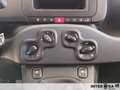Fiat Panda 1.0 70cv Hybrid Pop Nero - thumbnail 15