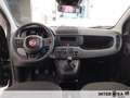 Fiat Panda 1.0 70cv Hybrid Pop Nero - thumbnail 8