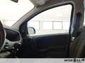 Fiat Panda 1.0 70cv Hybrid Pop Noir - thumbnail 17