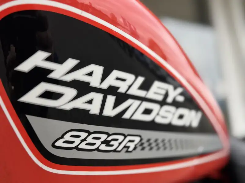 Harley-Davidson Sportster XL 883 - foto 8