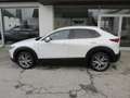 Mazda CX-30 e-Skyactive G140 Exclusive-Line Aut. Weiß - thumbnail 7