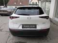 Mazda CX-30 e-Skyactive G140 Exclusive-Line Aut. Weiß - thumbnail 5
