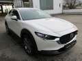 Mazda CX-30 e-Skyactive G140 Exclusive-Line Aut. Weiß - thumbnail 3
