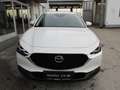 Mazda CX-30 e-Skyactive G140 Exclusive-Line Aut. Weiß - thumbnail 2