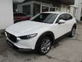 Mazda CX-30 e-Skyactive G140 Exclusive-Line Aut. Weiß - thumbnail 1