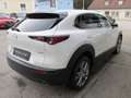 Mazda CX-30 e-Skyactive G140 Exclusive-Line Aut. Weiß - thumbnail 4