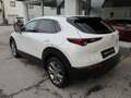 Mazda CX-30 e-Skyactive G140 Exclusive-Line Aut. Weiß - thumbnail 6