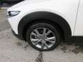 Mazda CX-30 e-Skyactive G140 Exclusive-Line Aut. Weiß - thumbnail 8