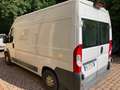 Fiat Ducato Bianco - thumbnail 6