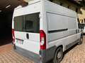 Fiat Ducato Bianco - thumbnail 5