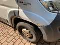 Fiat Ducato Bianco - thumbnail 3