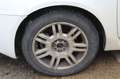 Fiat Stilo 1.9 JTD Actual Weiß - thumbnail 17
