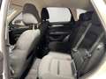 Mazda CX-5 SKYACTIV-G 165 Exclusive-Line Head-Up/360 Weiß - thumbnail 12