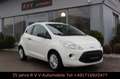 Ford Ka/Ka+ Trend 1.2 , Allwetterreifen, TÜV neu Weiß - thumbnail 3