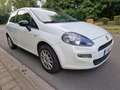 Fiat Punto Evo Punto EVO 1.2i Active Stop CLIM // JANTES // EURO6 Weiß - thumbnail 2