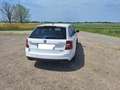 Skoda Octavia Octavia Combi 2.0 TDI DSG RS Weiß - thumbnail 3