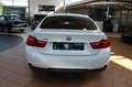 BMW 435 Baureihe 4 Gran Coupe 435 d xDrive Advantage Weiß - thumbnail 5
