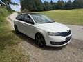Skoda Rapid/Spaceback Rapid Spaceback 1,6 TDI Active Green tec - thumbnail 21