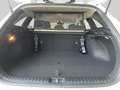 Kia Ceed SW / cee'd SW ceed SW 1,5 TGDI Silber Weiß - thumbnail 13